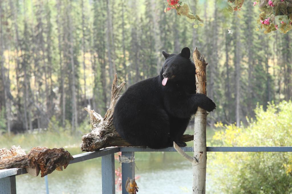 Lac Le Jeune Resort & Nature Centre カムループス エクステリア 写真
