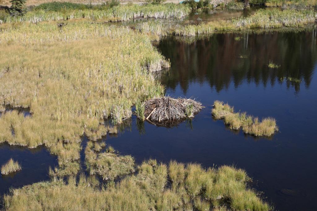 Lac Le Jeune Resort & Nature Centre カムループス エクステリア 写真
