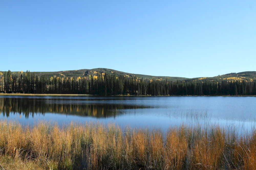Lac Le Jeune Resort & Nature Centre カムループス エクステリア 写真